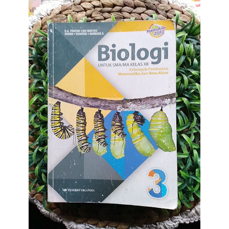 BIOLOGI KELAS 12 SMA K13 ERLANGGA
