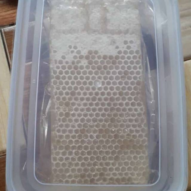 

Madu sarang lebah asli 500 gram