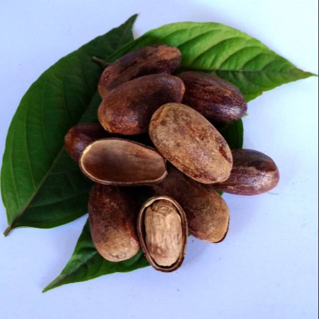 

Jamu Nut meg / biji pala utuh