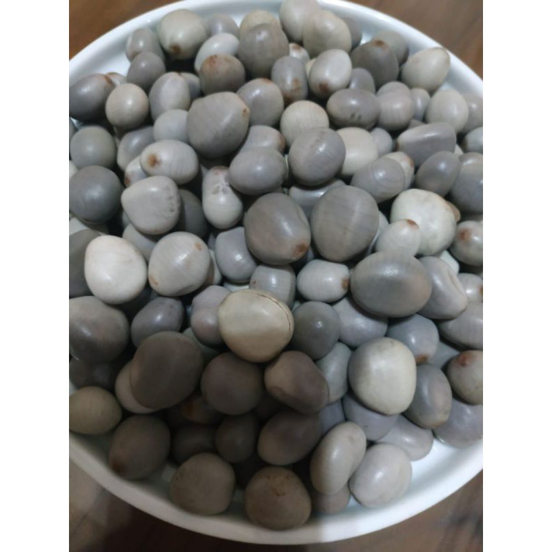 

Buah ajaib kebiul/gorek (Per-biji)