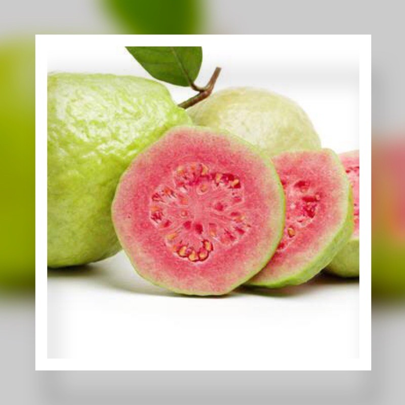 

jambu merah per 500 gram Rp 12.990