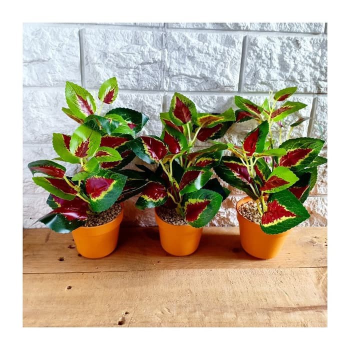 BURUAN BELI DAUN IMITASI MIANA/BUNGA PLASTIK ARTIFICIAL PALSU DEKORASI RUMAH BERKUALITAS