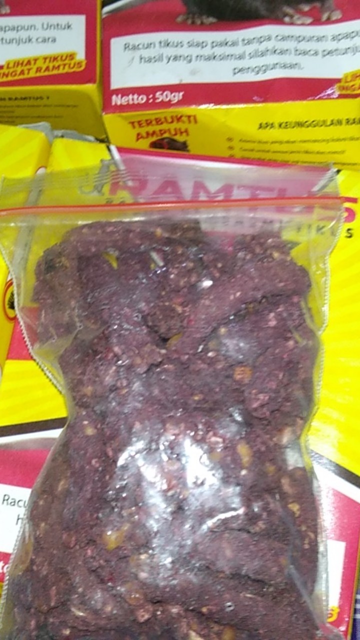 Ramtus Racun Tikus Ampuh Mati Kering Tidak Bau Pembasmi Curut Wirog Mencit Dirumah Di Mobil 4 Pack