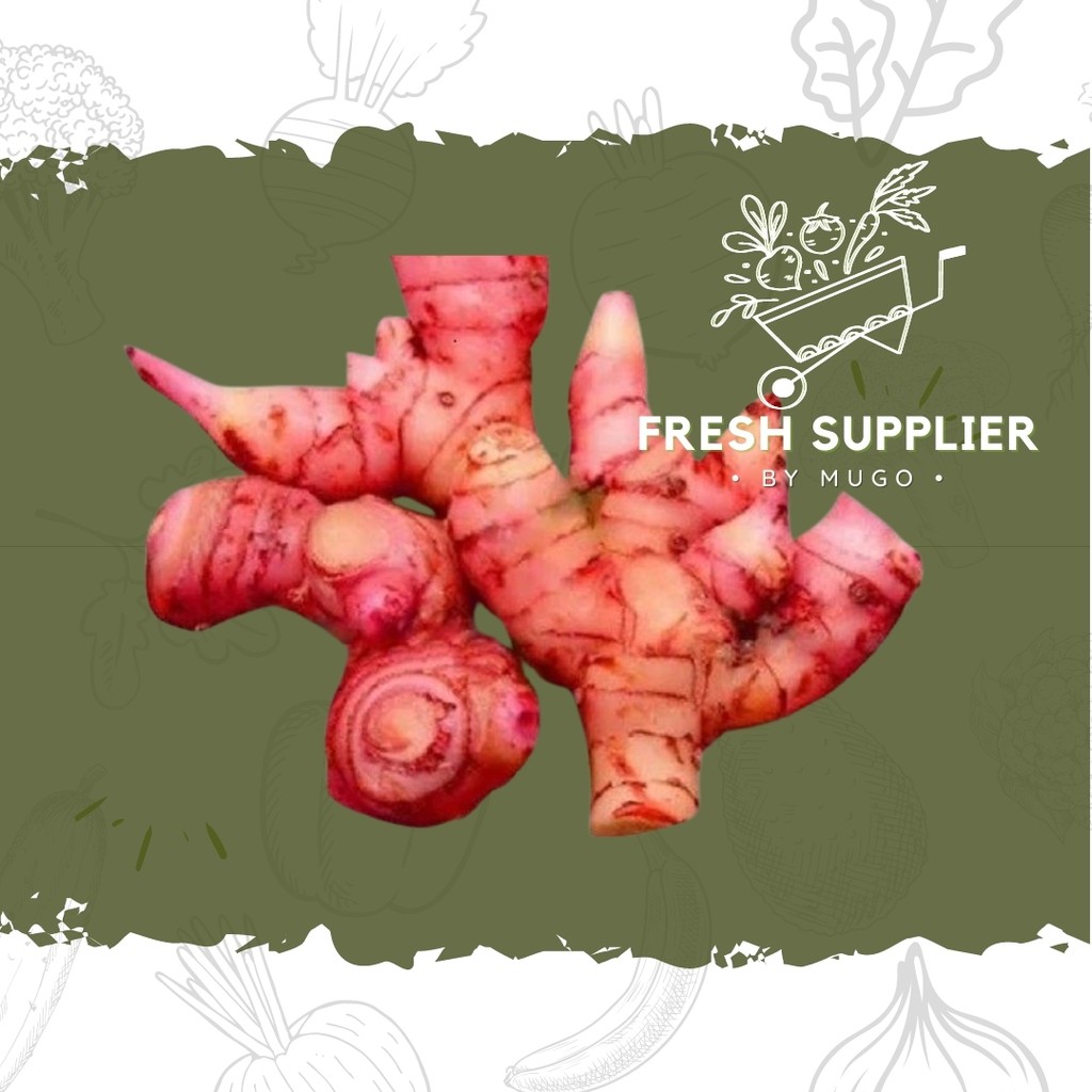 

Jahe Merah 500g Fresh Supplier