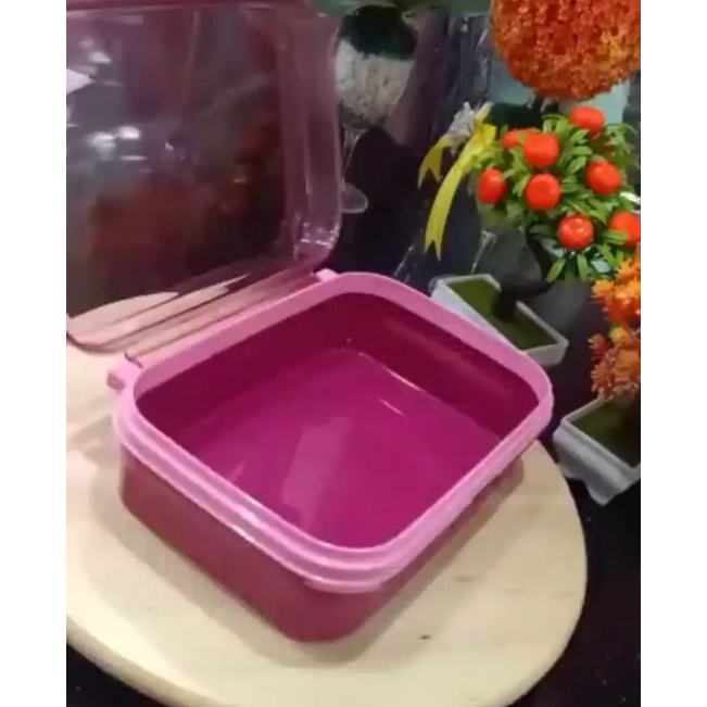 Signature 2L / Signature Tupperware/ signature ungu /ezy keeper/signature pink/signature rectangular