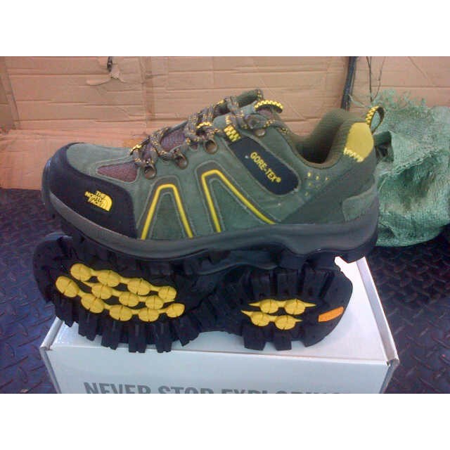 SEPATU IMPORT THE NORT FACE