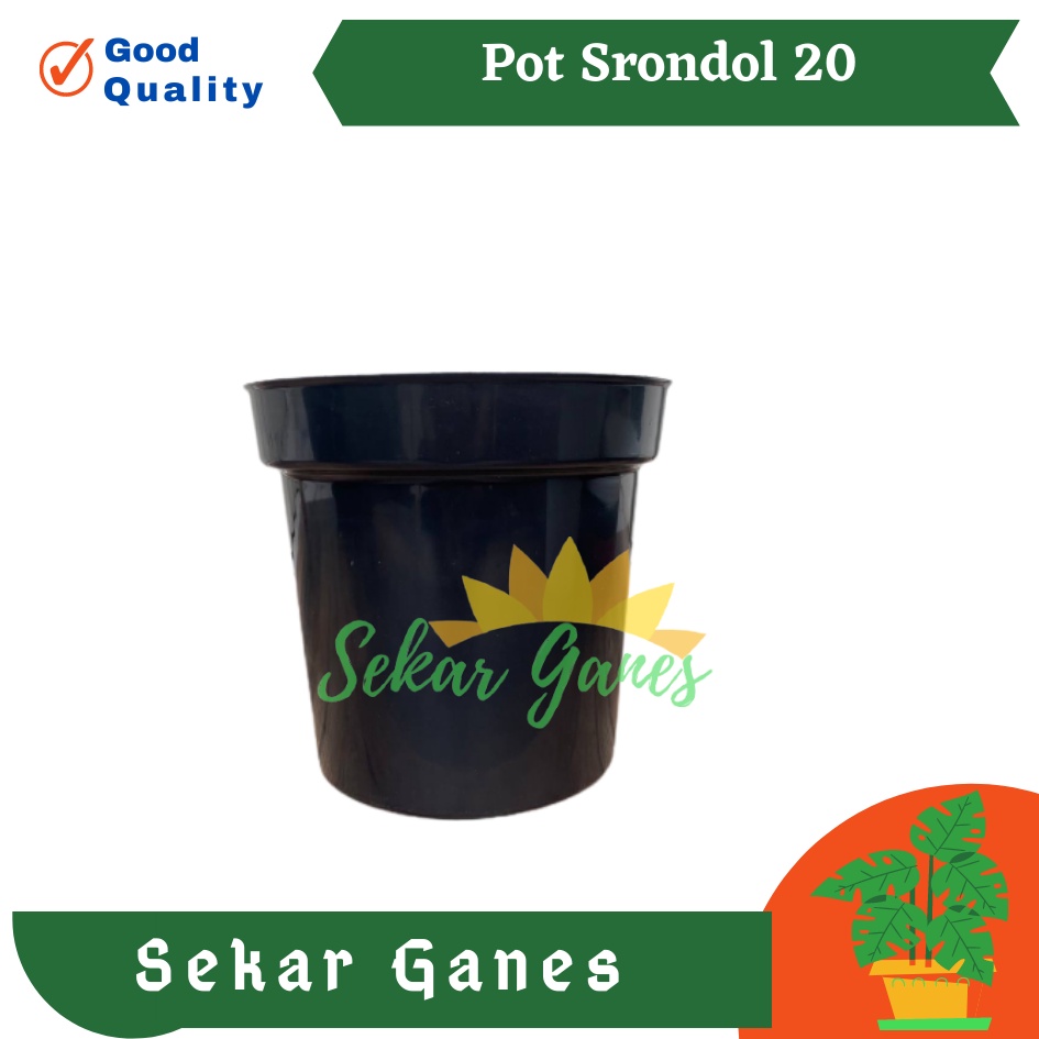 Pot Tinggi Srondol 20 Hitam - Pot Tinggi Usa Eiffel Effiel 18 20 25 Lusinan Pot Tinggi Tirus 15 18 20 30 35 40 50 Cm Paket murah isi 1 lusin pot bunga plastik lusinan pot tanaman Pot Bibit Besar Mini Kecil Pot Srondol 15