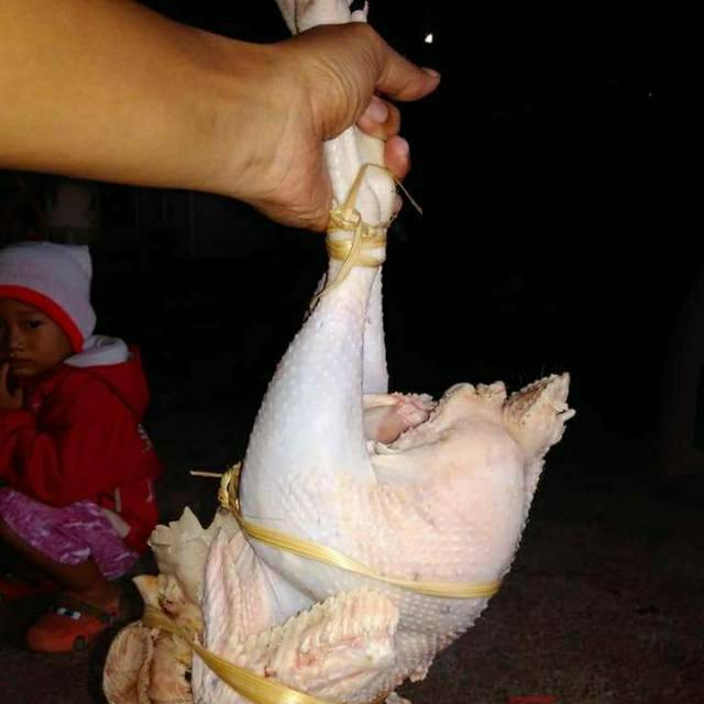 

Daging ayam kampung