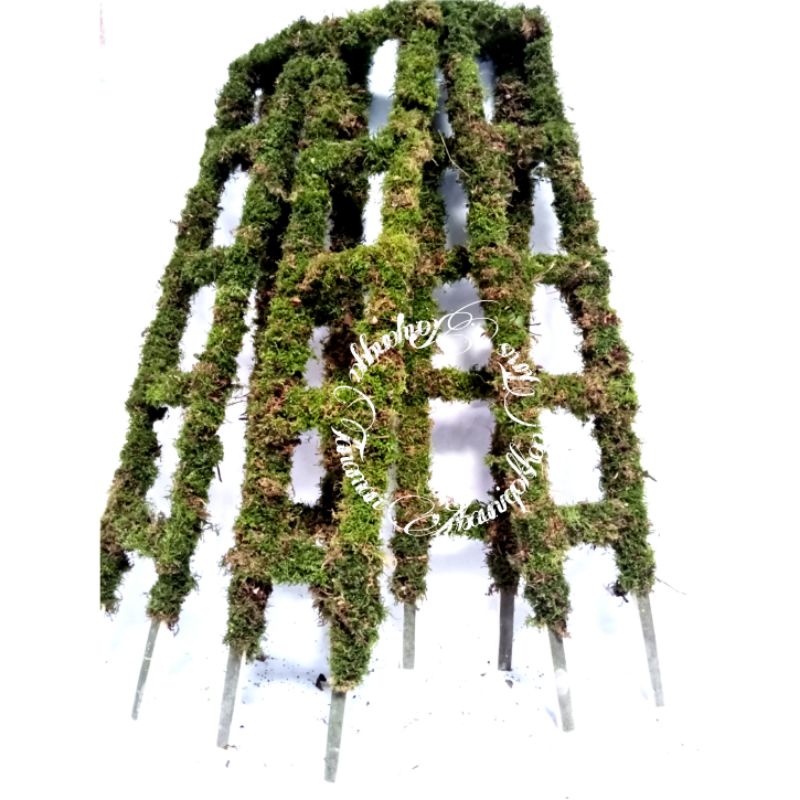 Turus Lumut Tangga 1.5m