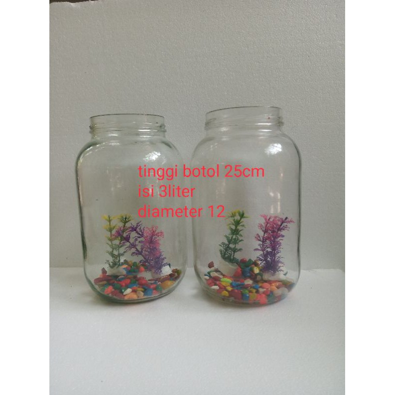 toples aquarium toples ukuran tiga liter toples tabung besar akuarium mini toples ikan toples ceri