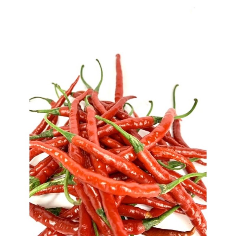 

Cabe Keriting Merah