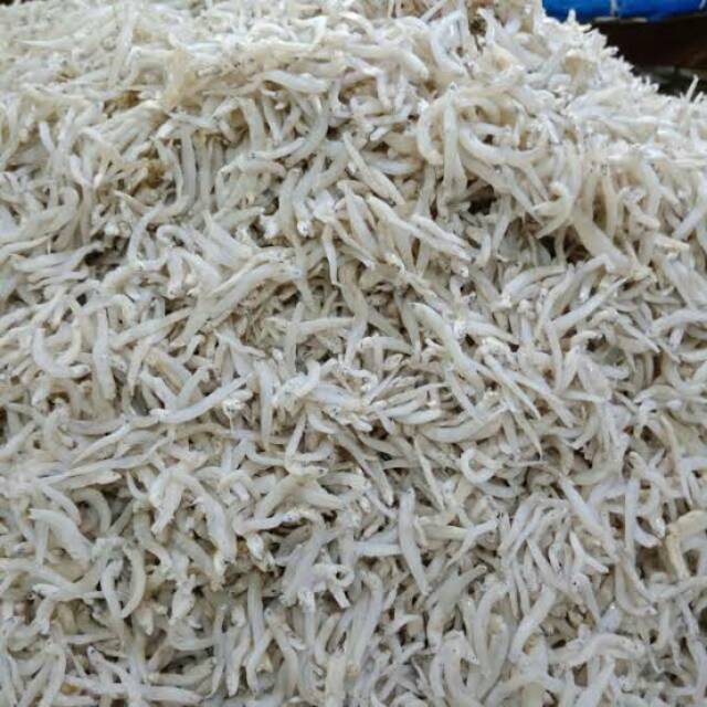 

Teri nasi