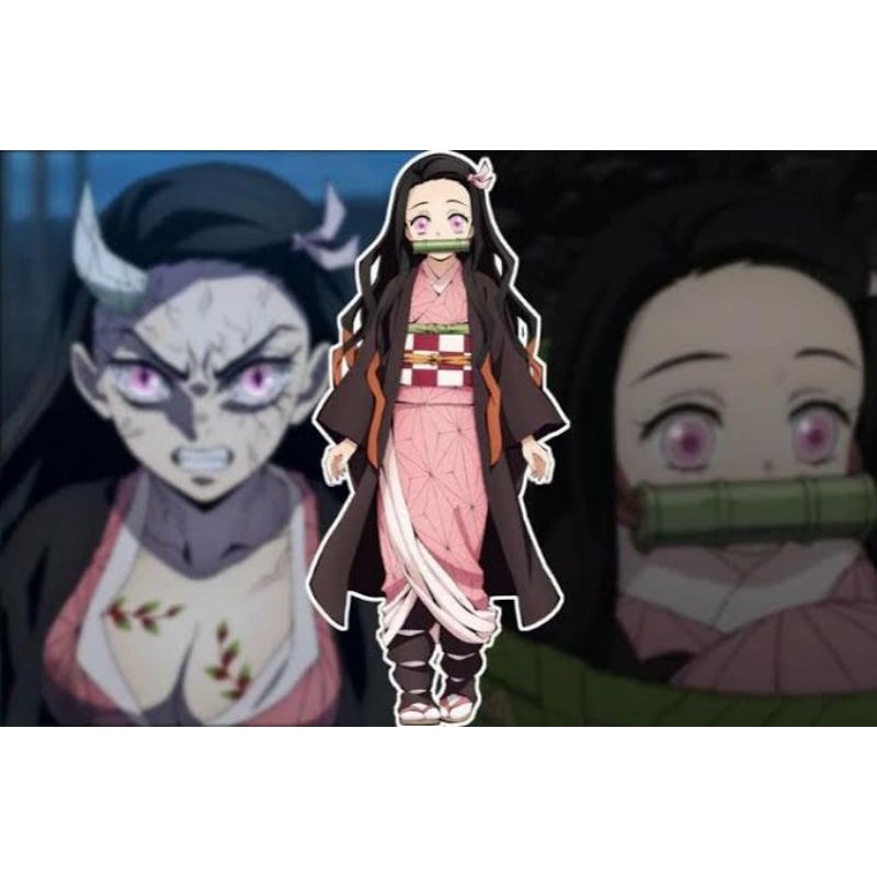 Rental Nezuko Kamado