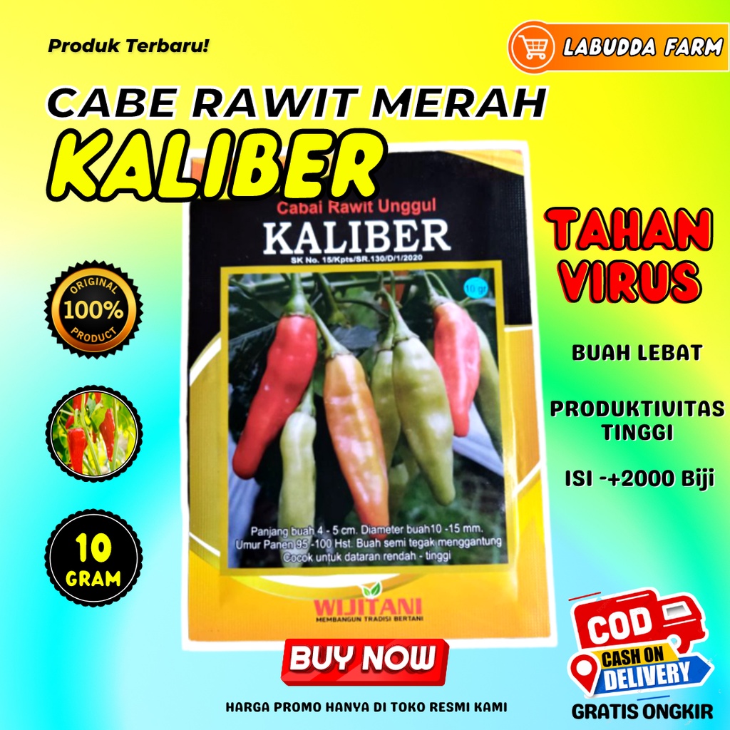 Kaliber Cabe 10 gr CRM KALIBER Cabe Rawit Merah - Benih Cabe Rawit Kaliber 10g Berkualitas Original Pabrik Wijitani Cabe Unggul Kaliber Buah Lebat Kemasan 10 Gram