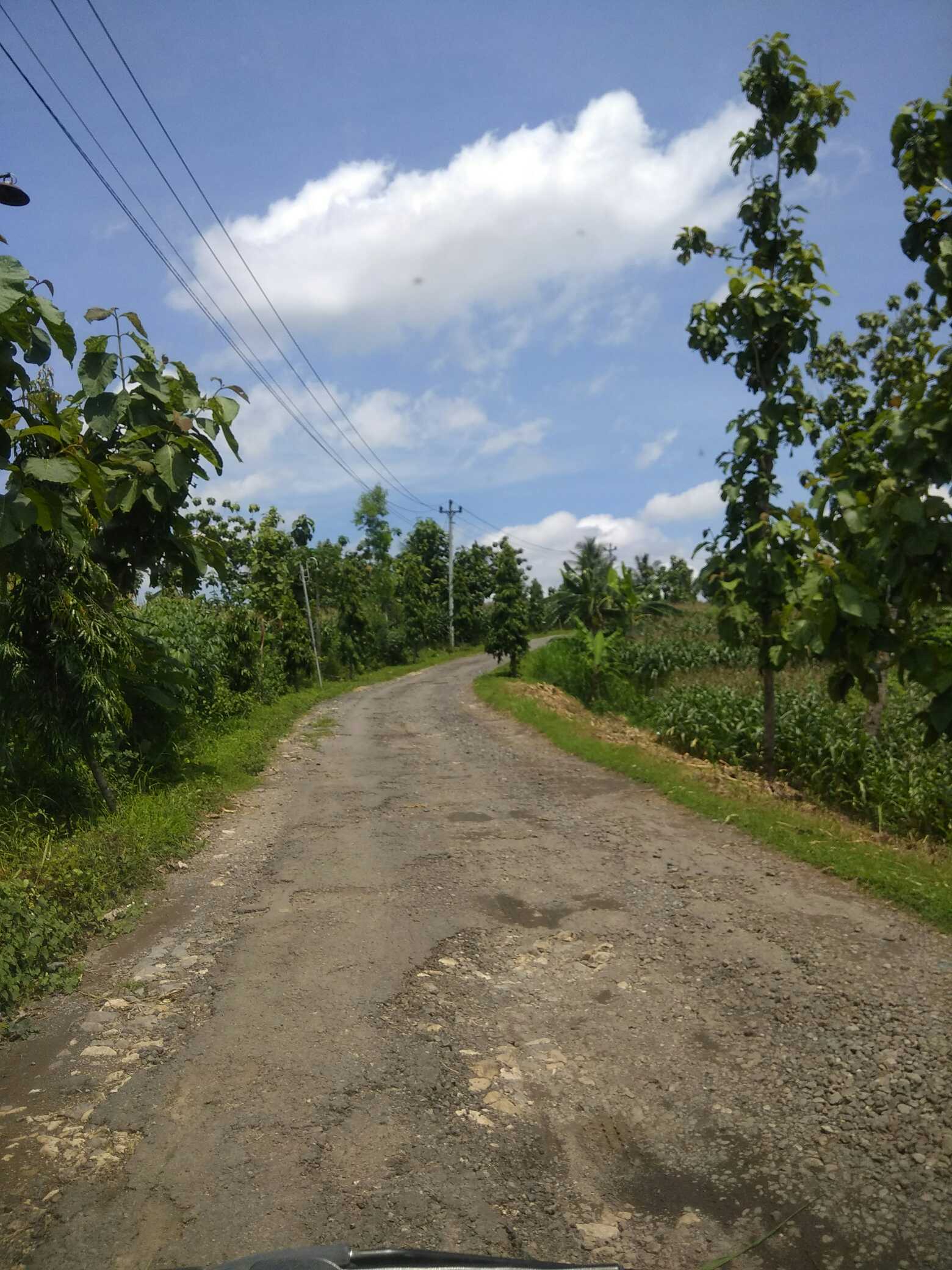 Tunik Santika Putih Jumbo Atasan Batik Wanita.  Klasik