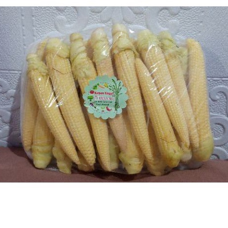 

putren / baby corn / jagung semi / jagung muda