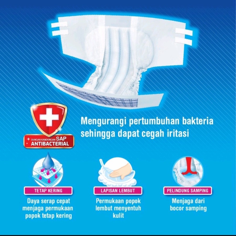 CERTAINTY POPOK PEREKAT DEWASA ANTI BACTERIAL [ M10,  L10,  XL10  ]