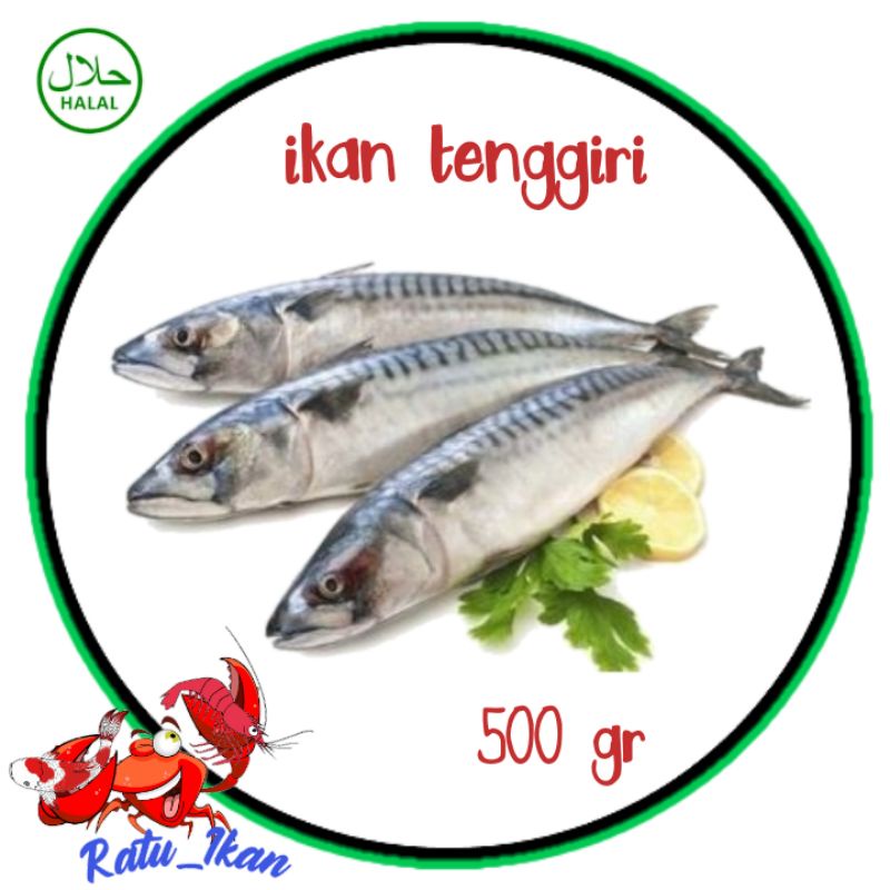 

ikan tenggiri segar [500gram] ratu_ikan