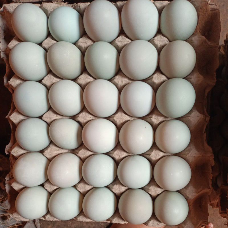 

telur asin