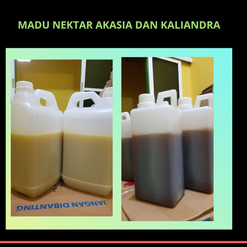 1 Kg Madu Hitam Pahit Akasia / Kaliandra / Multiflora / Randu / Raw Honey/Kopi-Karet/Semangka