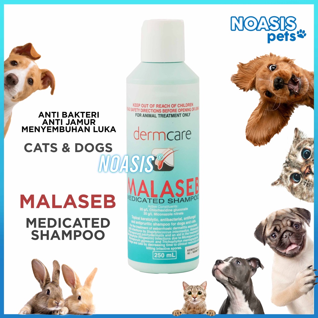 SHAMPOO ANJING DAN KUCING POISON MALASEB MEDICATED  DERMCARE 250 ML