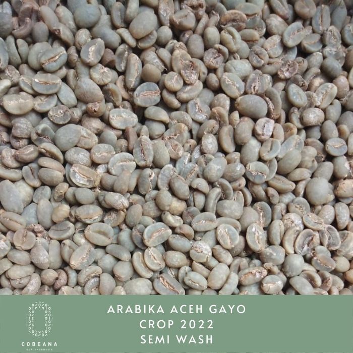 

KOPI ARABIKA ACEH GAYO 1 KG BIJI MENTAH GREENBEAN BIJI KOPI MENTAHCobeana Kopi Indonesia