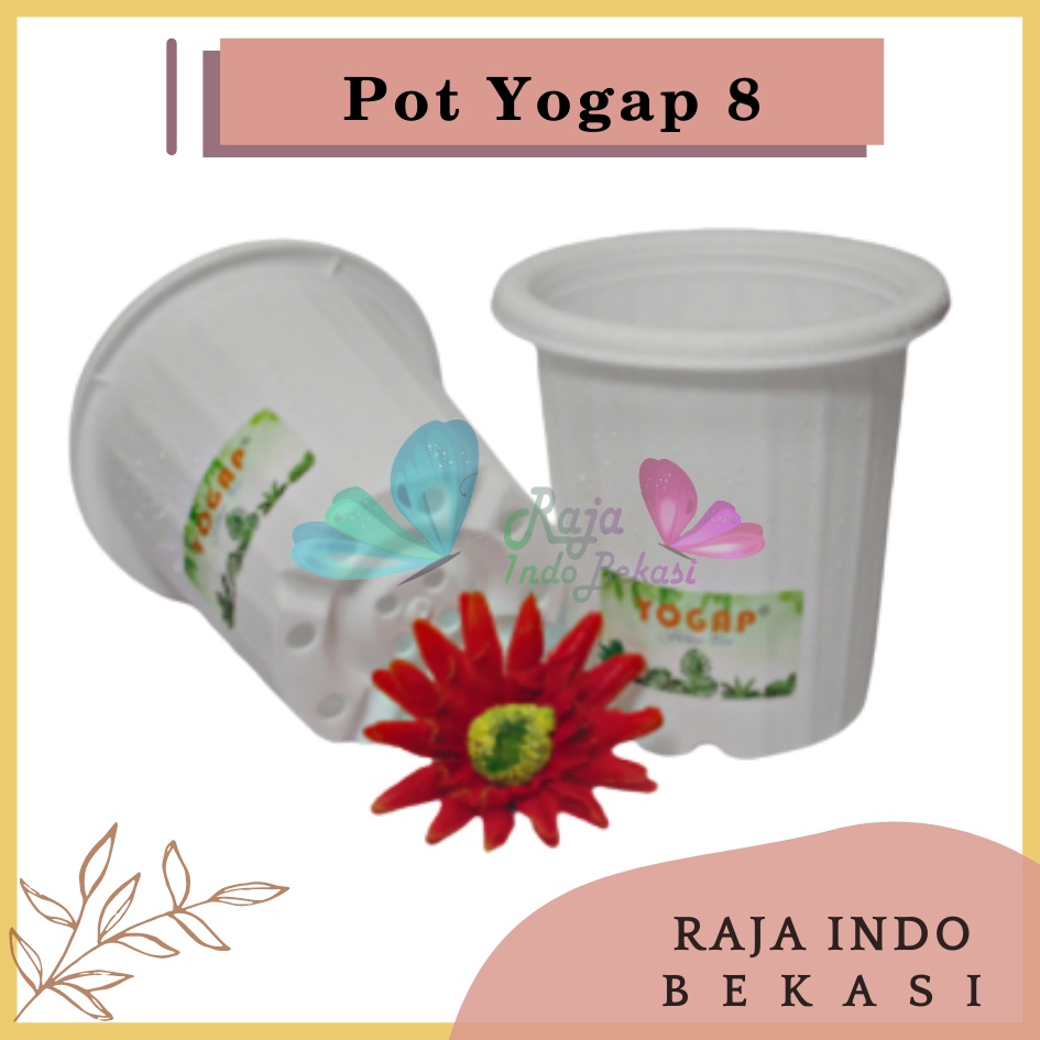 Pot Yogap 8 Putih Pot Yogap 10 13 15 17 18 19 25 30 Pot Yogap Murah