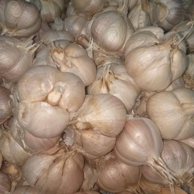 

BAWANG PUTIH KATING 1 KG