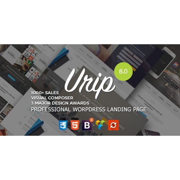 Wordpress Theme Urip – Professional WordPress Landing Page