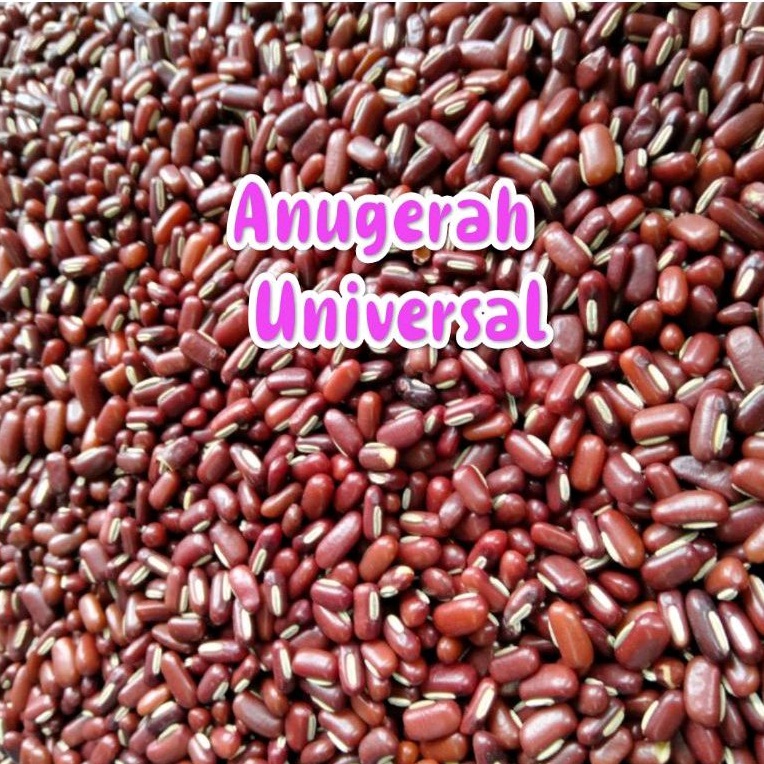 

Kacang Merah ES Thailand (REPACK)