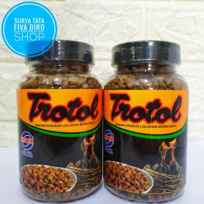 #####] Trotol Premium Ebod Jaya voer khusus untuk lolohan burung murai batu
