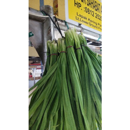 

Daun Pandan