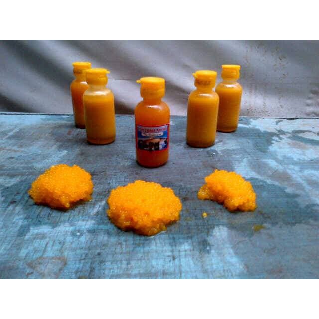Jual Essen Telur Ikan sapu Diskon