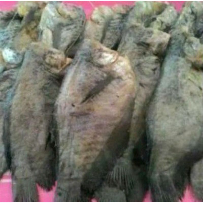 

Puri Segar Shop, Ikan Asin Sepat Besar 150 Gram - 250 Gram.