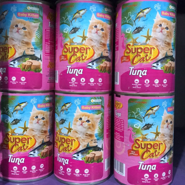 super cat baby kitten