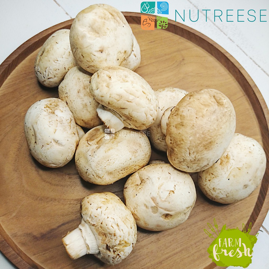 

Jamur Champignon / Kancing Segar (250gr) 250 gram Nutreese