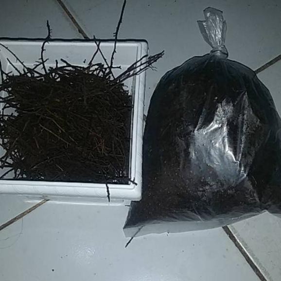 

Basicϟmurah Pakis cacah / hancur 150gr