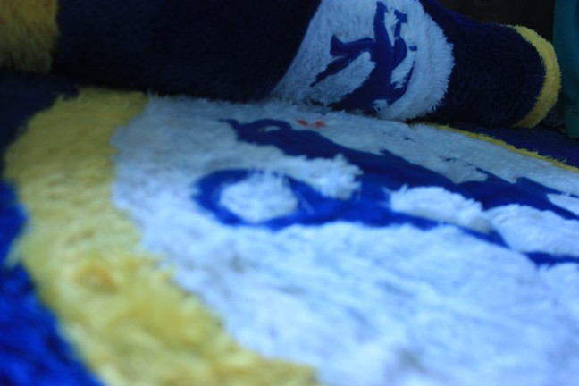 Kasur Lipat Karakter / Kasur Karakter Tebal 10 & 33 Cm