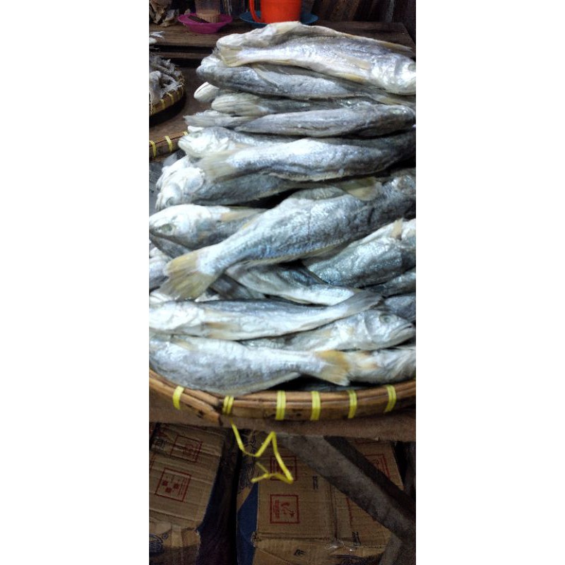 

Ikan Asin Sanangin 500gram Asli dari Medan