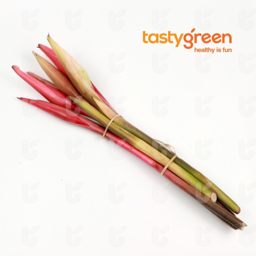 

Tasty Greeb Kecombrang 1 pcs