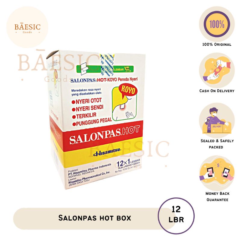 Salonpas Hot Box Isi 10*
