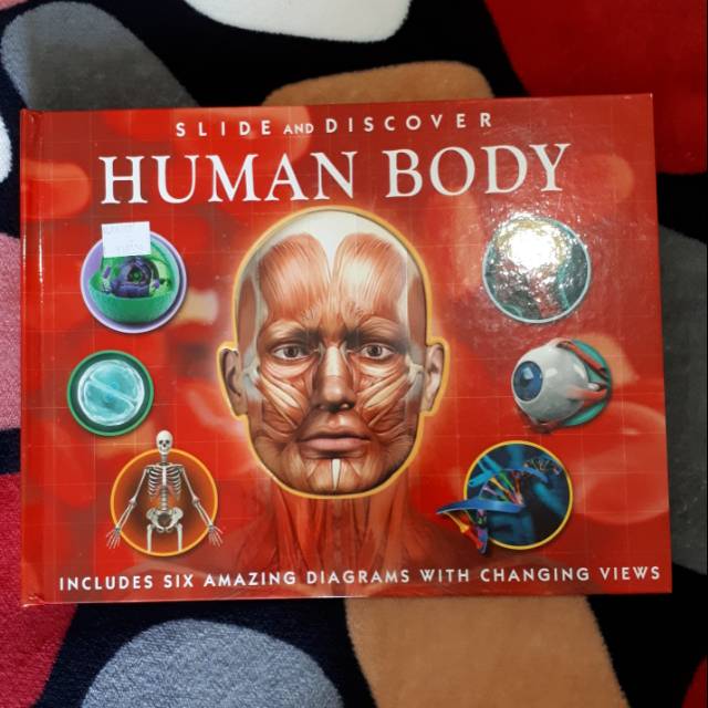 Slide and discover Human Body