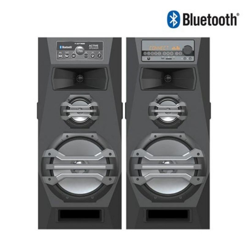 Speaker POLYTRON - PAS2A15