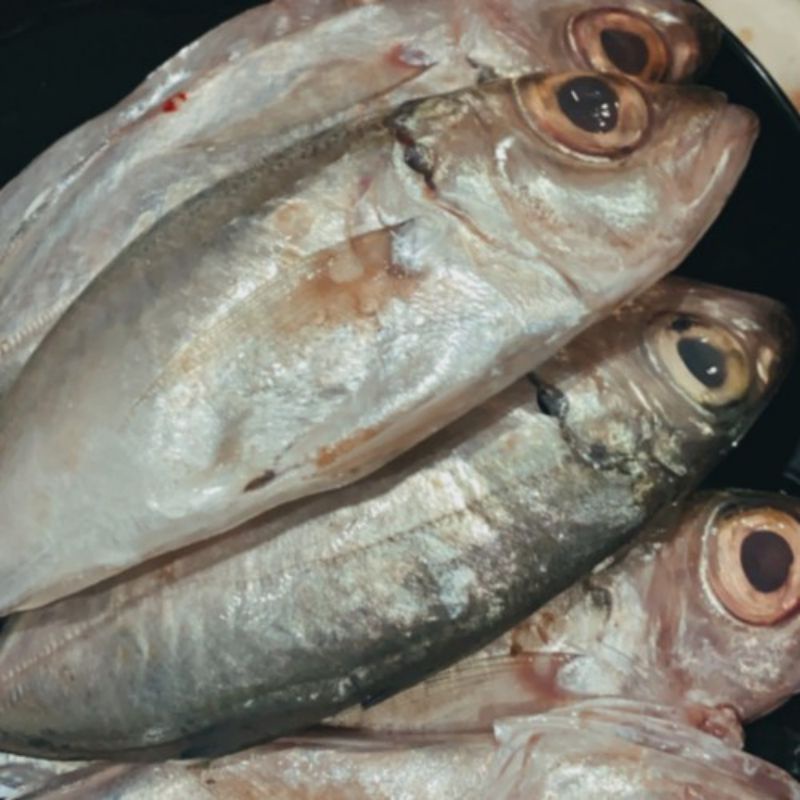 

Kembung Mata Belo 500g