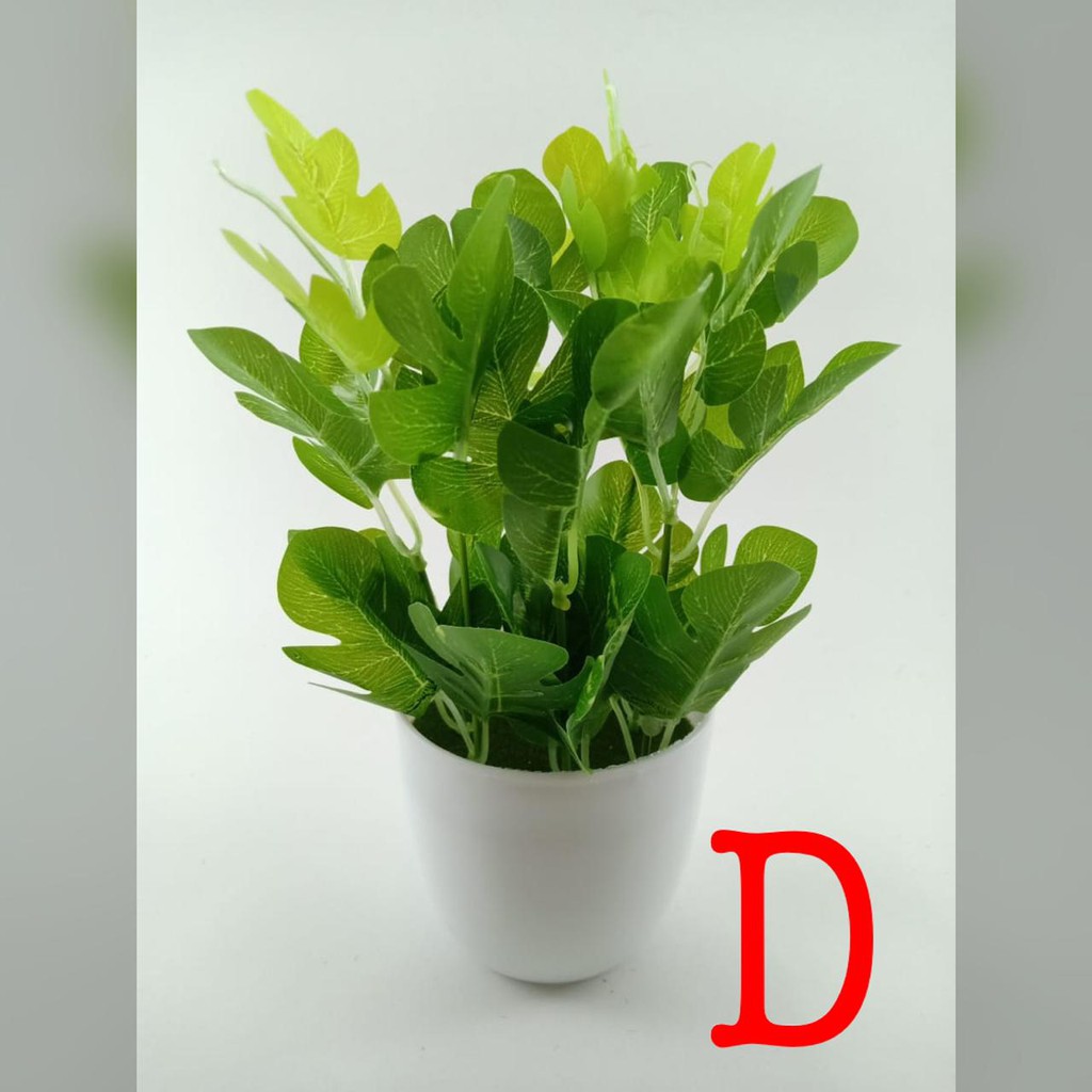 COD TANAMAN HIAS TANAMAN DAUN PLASTIK TANAMAN HIAS RUMAH BUNGA HIAS BUNGA PLASTIK BUNGA BP8844-D