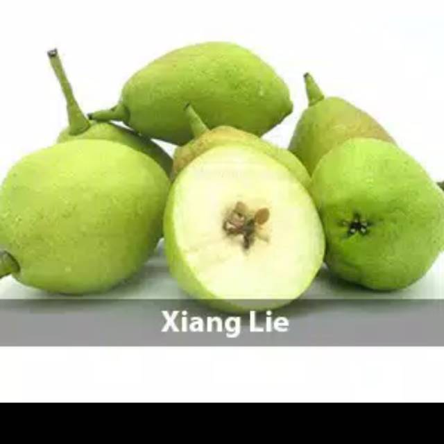 

Pir xianglie