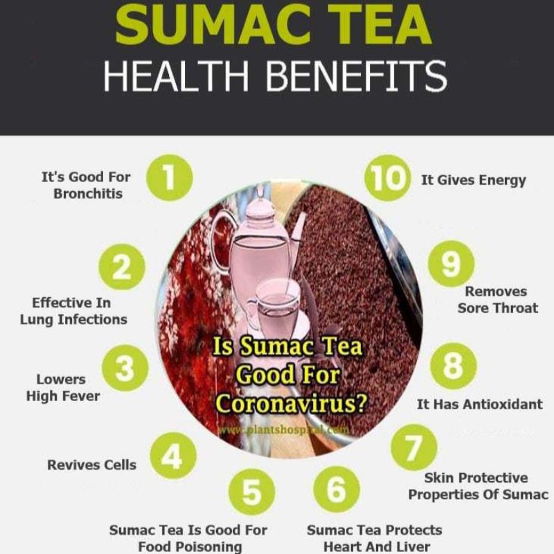 SUMAC TEA : TURKISH SUMAC TEA / RED SUMAC TEA (30 Tea Bag)