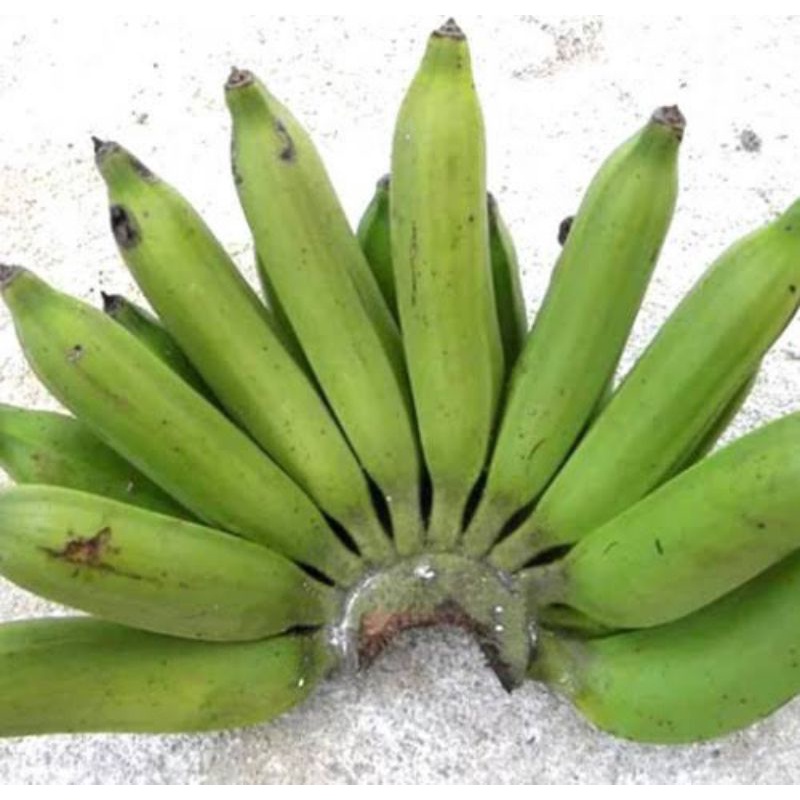 

pisang nangka 1 kg