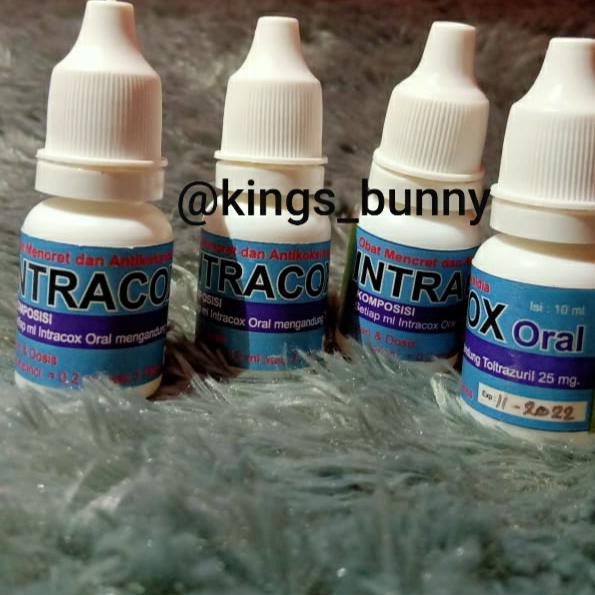 obat mencret kelinci intracox murah