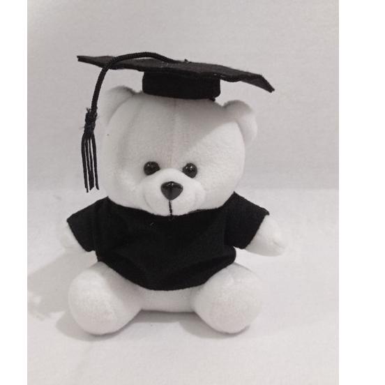 Jual Hadir Terheboh Termurah Boneka Wisuda Cm Velboa Hadiah Wisuda Dan Buket Wisuda Shopee